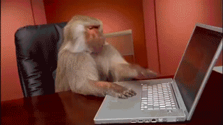 Monkey throwing computer
