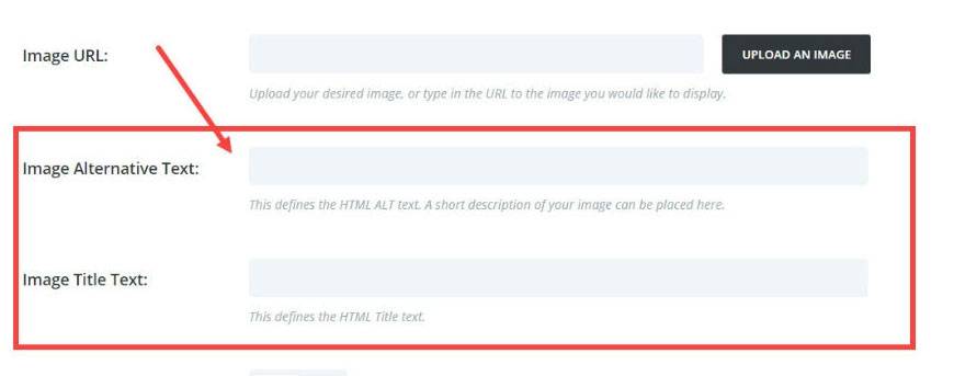 Alt Text and Title Tag Inputs