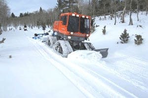 Trail Grooming For Squarespace Websites 1 squarespace trailing slash